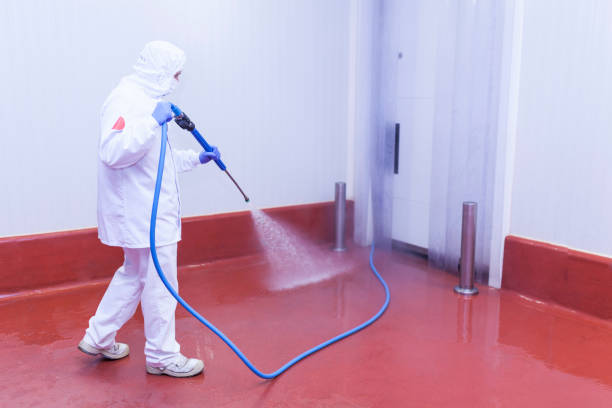 Best Building Exterior Washing  in Garden City South, NY