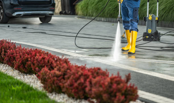 Best Dumpster Area Cleaning  in Garden City South, NY